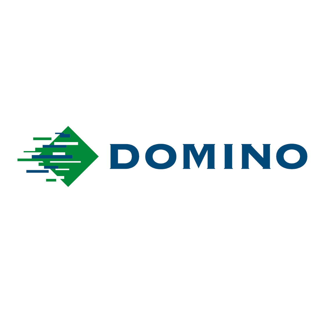 Domino logo