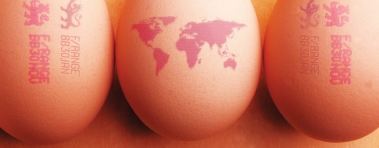 eggs 1